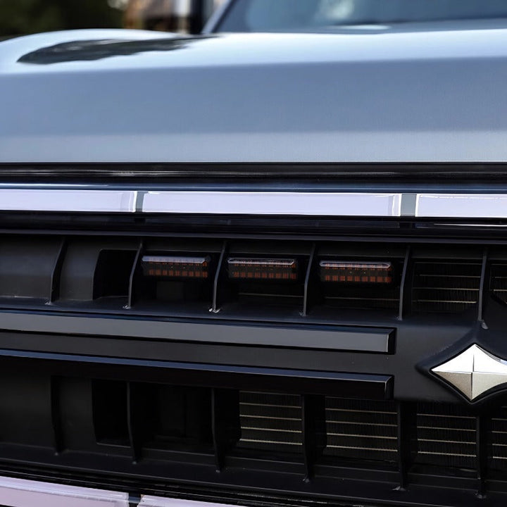 Grille Light for Denza B5