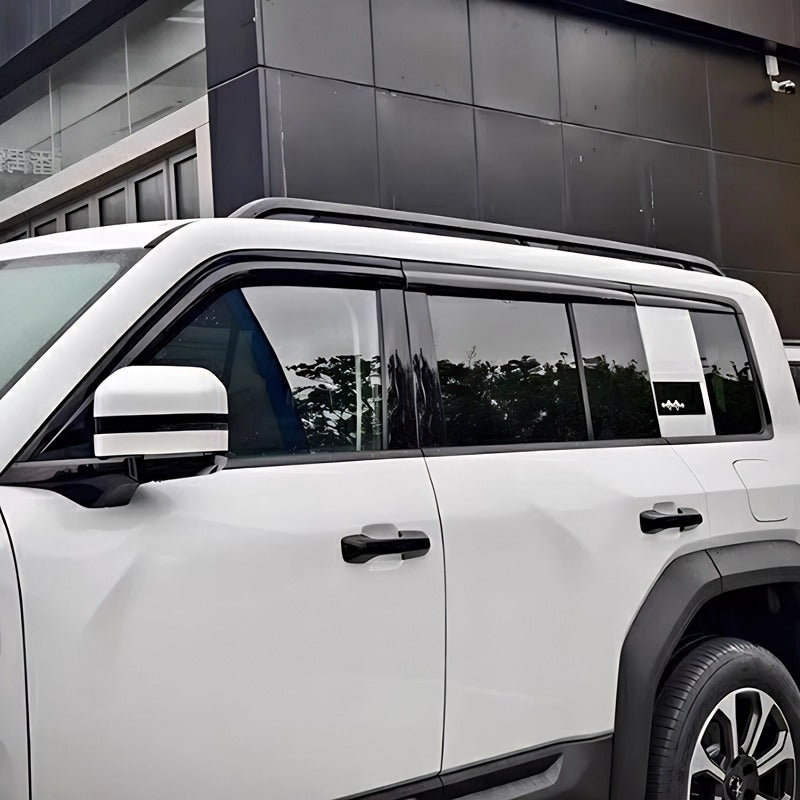 Window Visor for Fangchengbao Bao 5/Denza B5