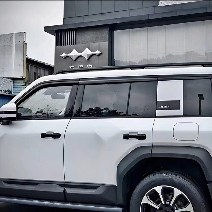 Window Visor for Fangchengbao Bao 5/Denza B5