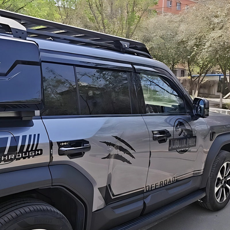 Window Visor for Fangchengbao Bao 5/Denza B5