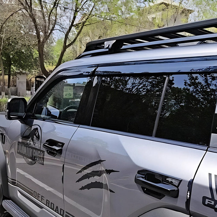 Window Visor for Fangchengbao Bao 5/Denza B5